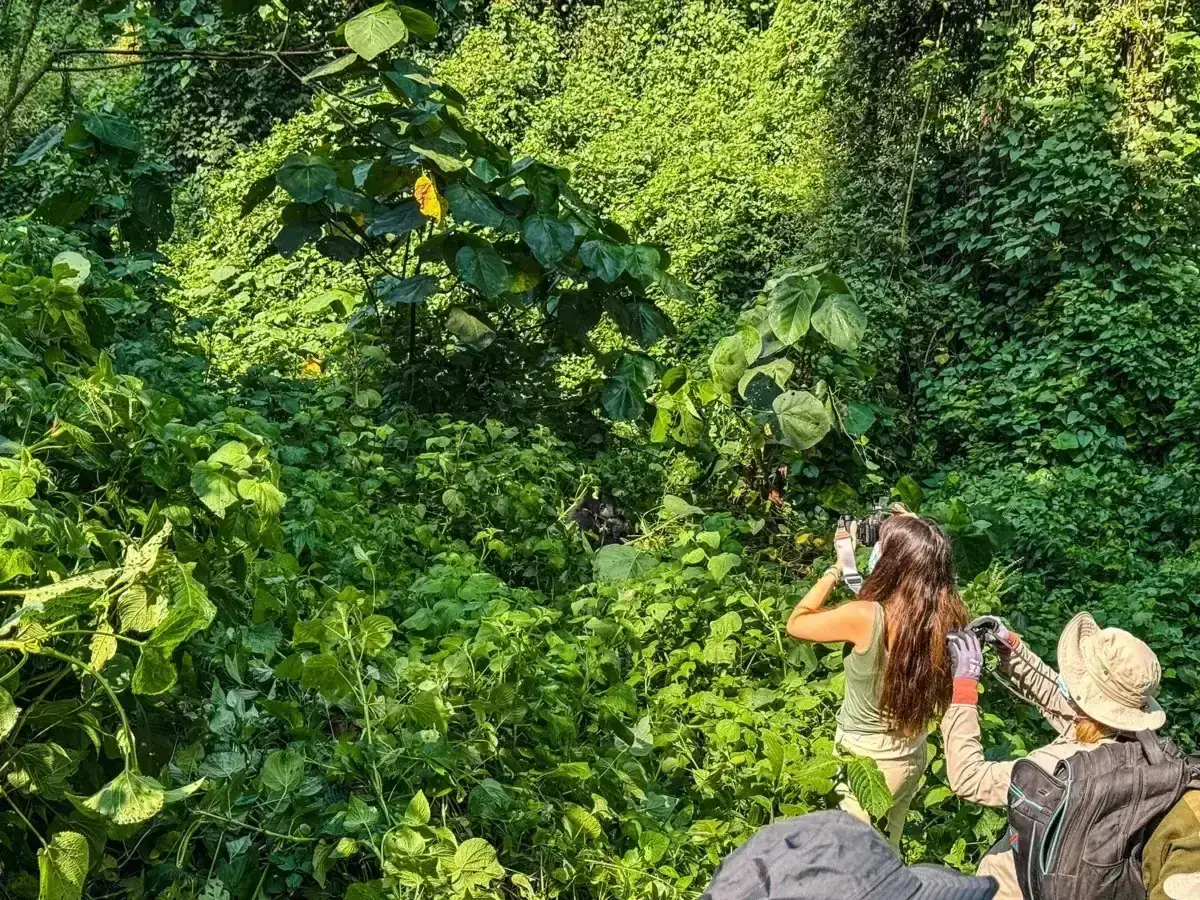 10 Days Uganda Primates Safari Uganda safari package