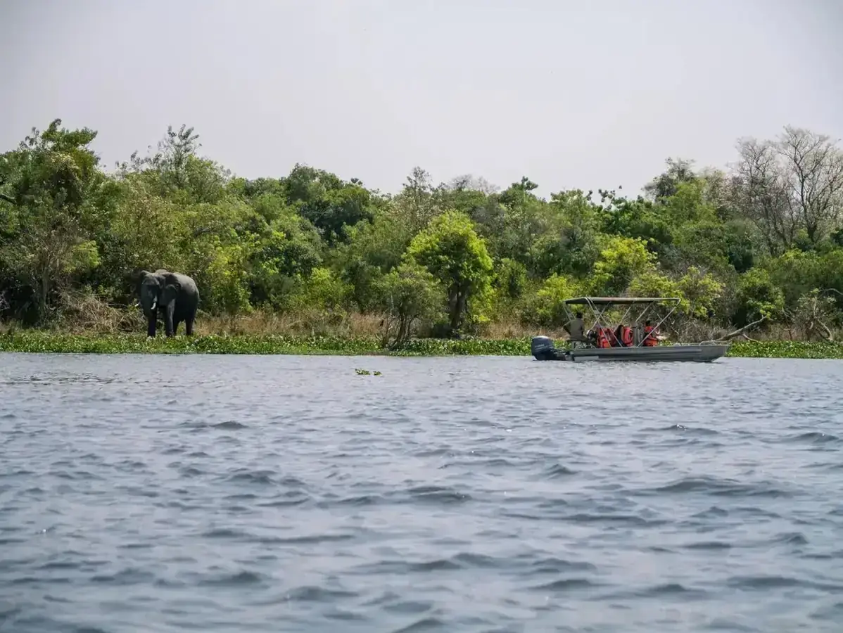 6 Days Uganda Safari & Boat Cruise safari package in Uganda and Rwanda