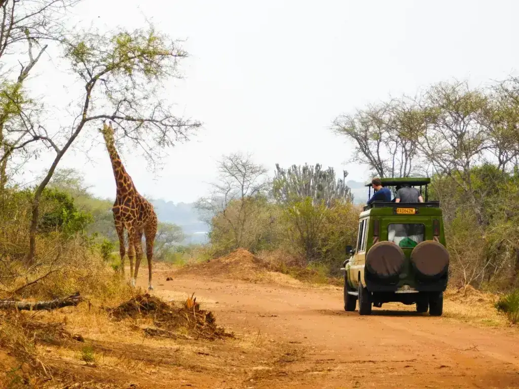 East Africa safari vehicle and wildlife travel planning
