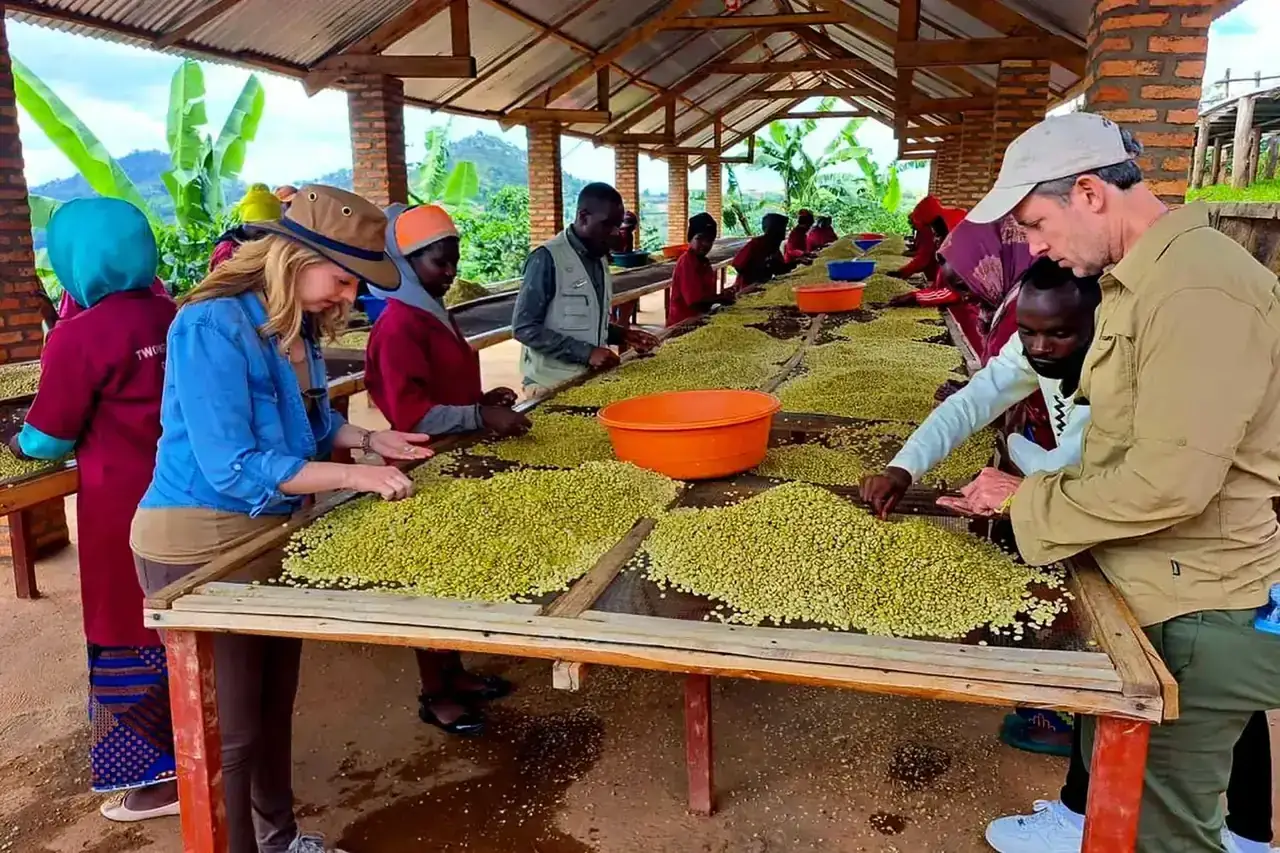 Rwanda coffee and culture tour experience