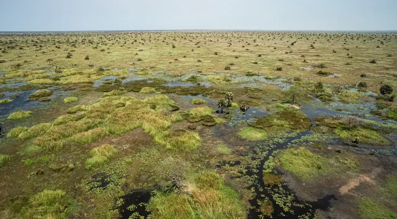 Sudd Wetlands in South Sudan with Webstar Safaris