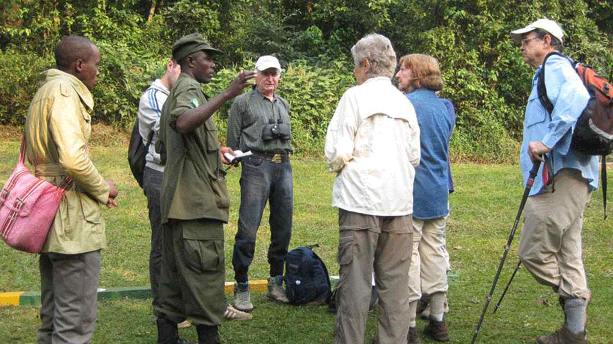 What to expect on a Rwanda Gorilla Trekking Tour