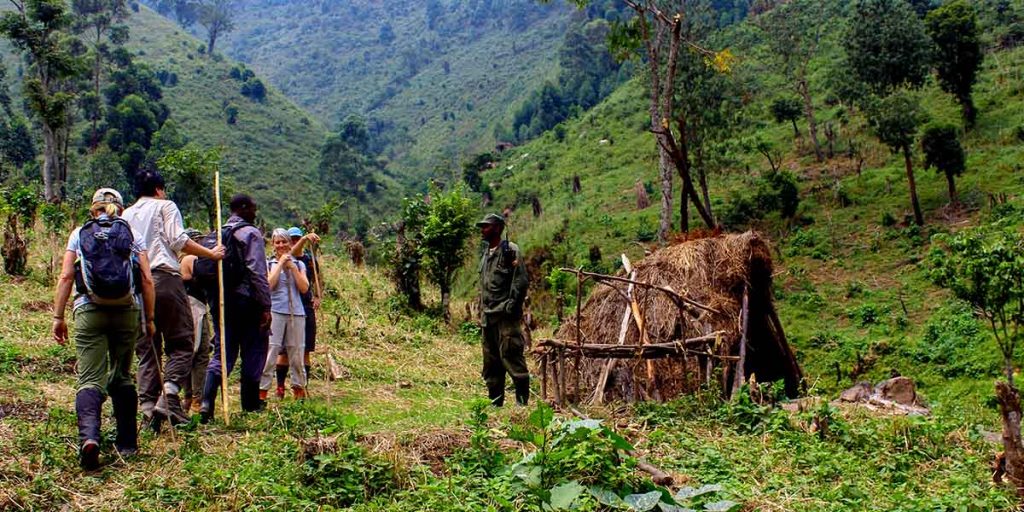 What to Expect on a Gorilla Safari in Uganda