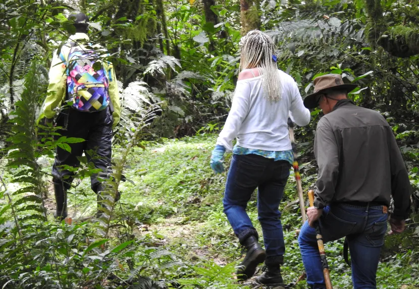 Rwanda Gorilla trekking