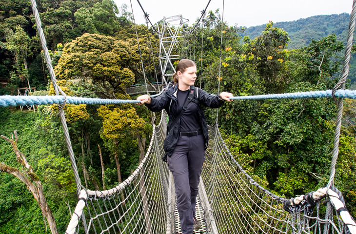 Nyungwe Canopy Walk