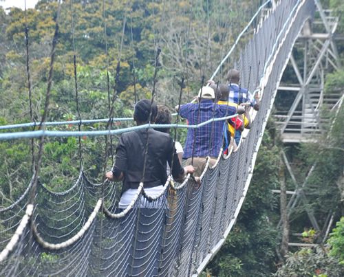 Nyungwe National Game Park