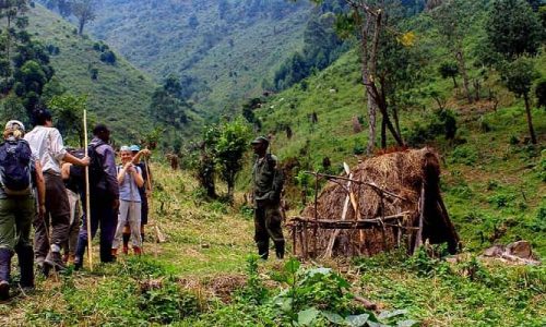 Gorilla Trekking In Bwindi