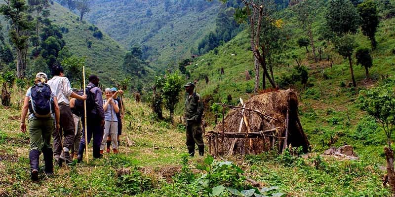 Gorilla trekking in Bwindi