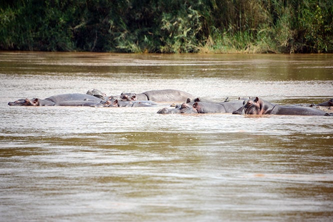 Rusizi National Park